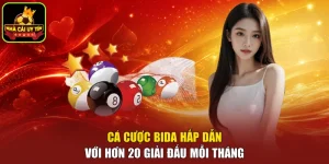 Cá cược bida