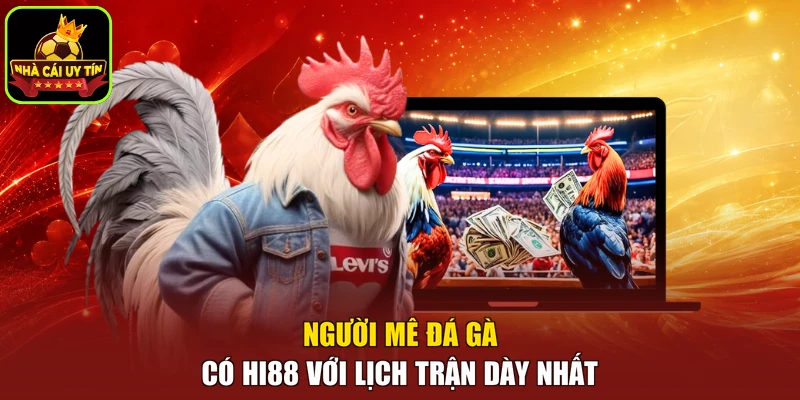Người mê đá gà có Hi88 với lịch trận dày nhất