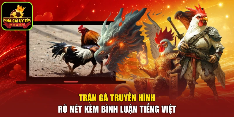 Trận gà truyền hình rõ nét kèm bình luận tiếng Việt