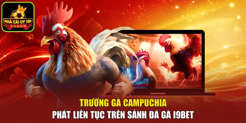 Trường gà Campuchia phát liên tục trên sảnh đá gà i9BET